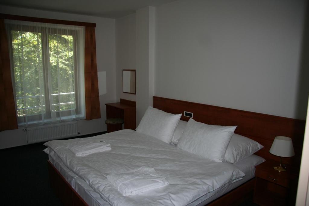 Lazensky Hotel Park Poděbrady الغرفة الصورة